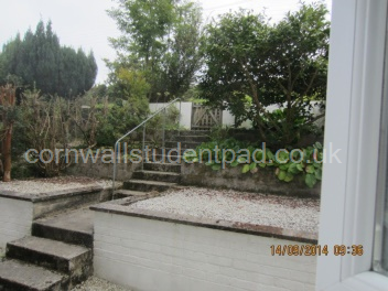 back garden