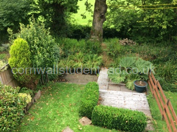 Back Garden