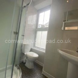 Shower room including toilet